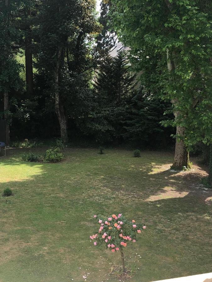 Bed and Breakfast La Grande Carree Saint-Cyr-sur-Loire Exteriér fotografie