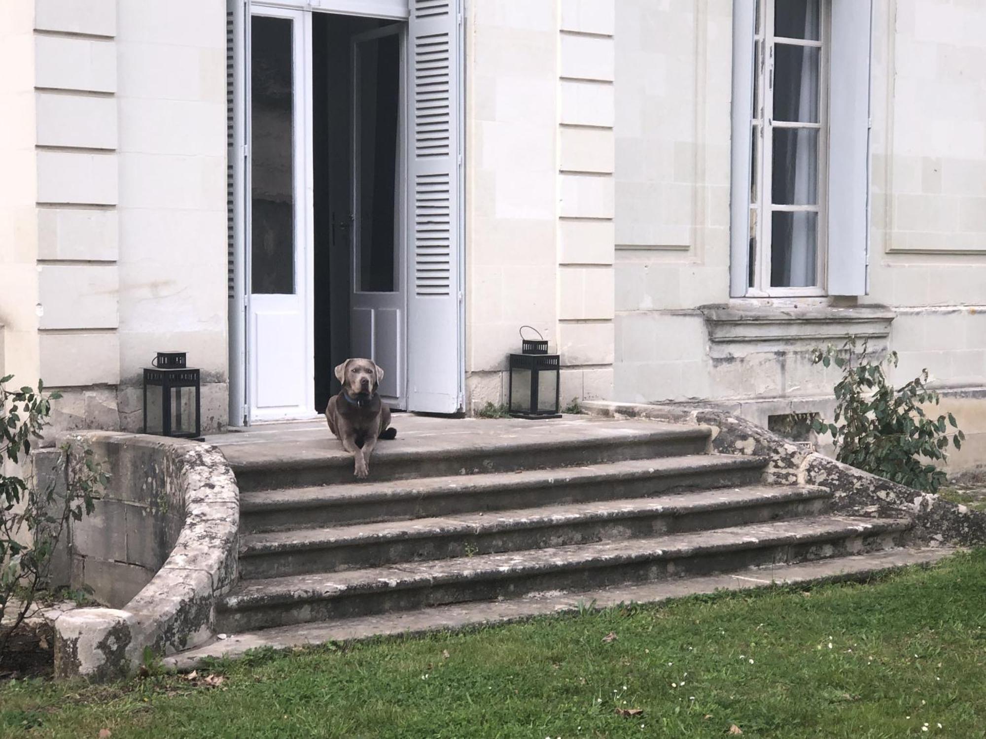 Bed and Breakfast La Grande Carree Saint-Cyr-sur-Loire Exteriér fotografie
